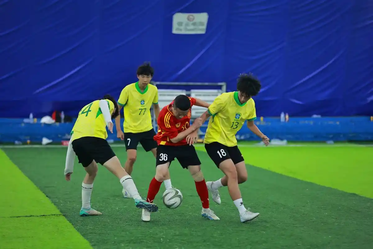 雨燕体育直播免费高清